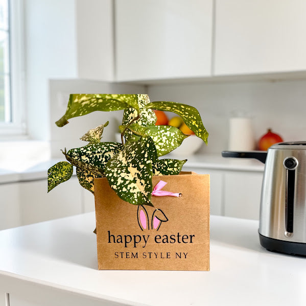 Easter - Plant Bag or Plant Bag Set