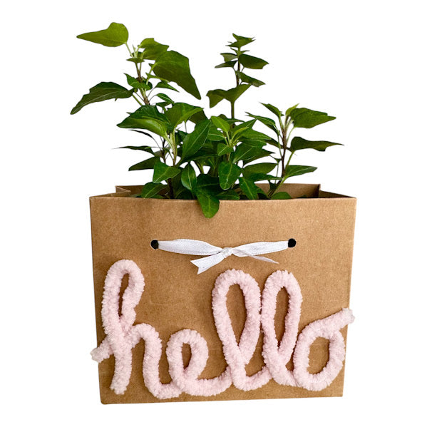 Custom Chenille Yarn - Plant Bag or Plant Bag Set