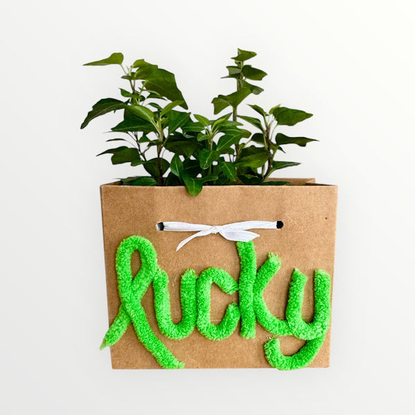 Custom Chenille Yarn - Plant Bag or Plant Bag Set