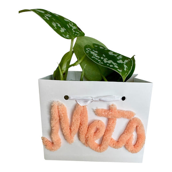 Custom Chenille Yarn - Plant Bag or Plant Bag Set