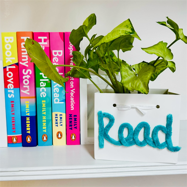 Custom Chenille Yarn - Plant Bag or Plant Bag Set