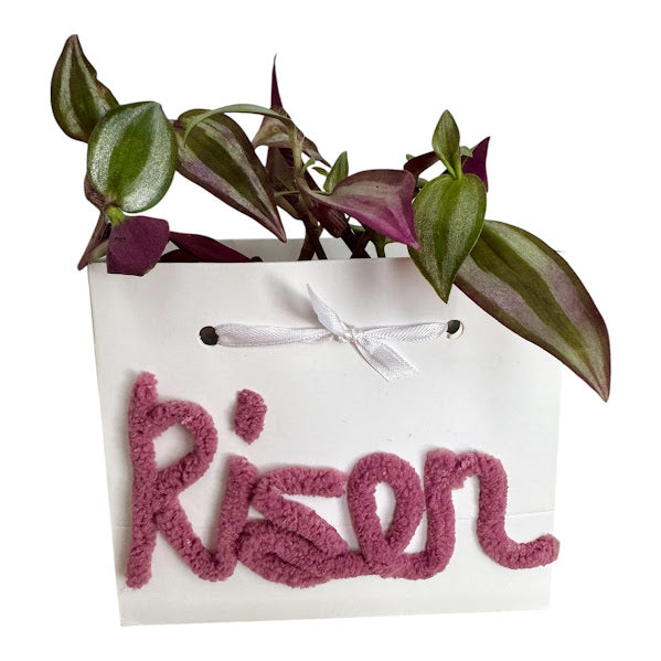 Custom Chenille Yarn - Plant Bag or Plant Bag Set