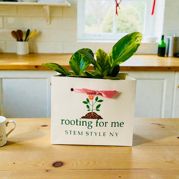 Just A Girl - Plant Bag or Plant Bag Set