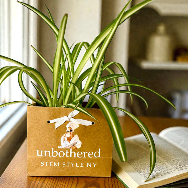 Just A Girl - Plant Bag or Plant Bag Set