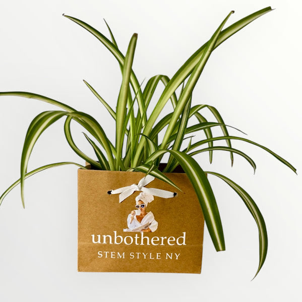 Just A Girl - Plant Bag or Plant Bag Set